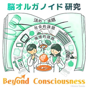 【研究成果】ヒト脳オルガノイド研究とその応用に関する倫理的・法的・社会的課題(ELSI)を包括的に整理